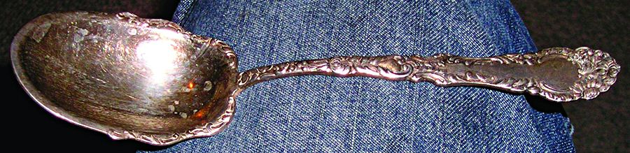 Chevalier (Silverplate, 1895) Preserve Spoon by International Silver-1