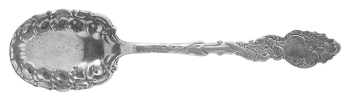 Columbia (Silverplate, 1893) Sugar Shell Spoon by International Silver-1
