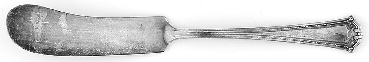 Continental (Silverplate, 1914) Flat Handle Master Butter Knife by International Silver-1
