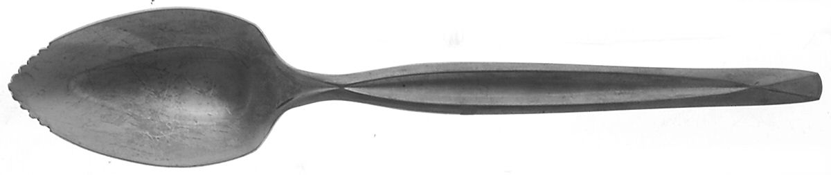 Concept (Stainless, Wm Rogers) Fruit/Orange Spoon by International Silver-1