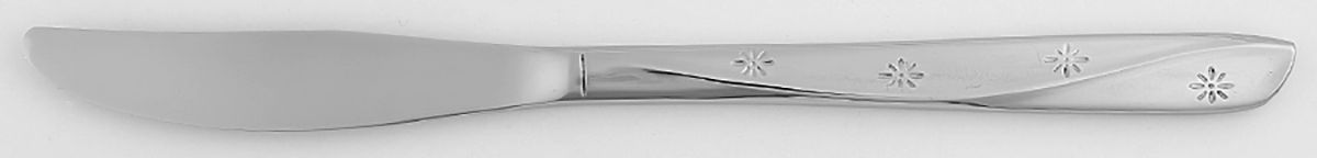 Constellation (Stainless) Hollow Handle Youth Knife by International Silver-1