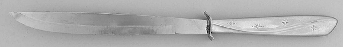 Constellation (Stainless) Small Steak Carving Knife with Stainless Blade by International Silver-1