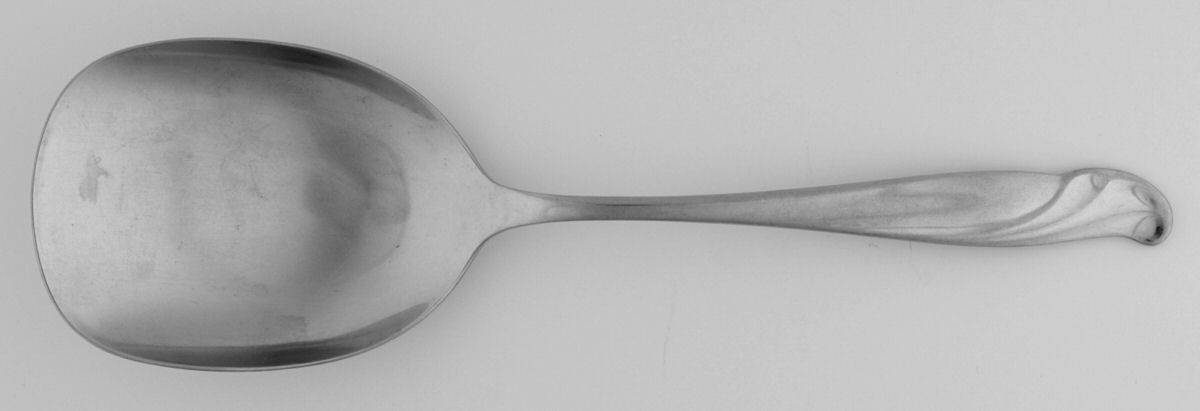 Coral Reef (Stainless) Solid Smooth Casserole Spoon by International Silver-1