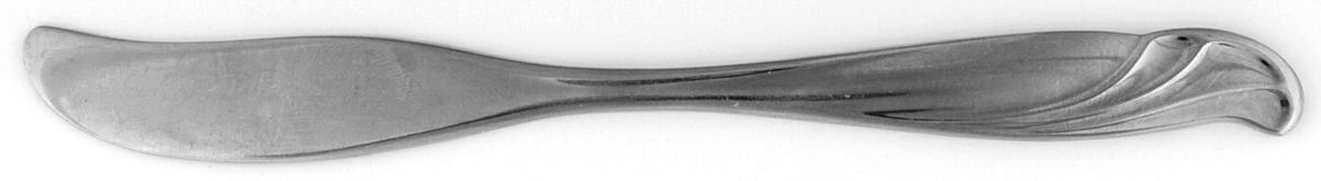 Coral Reef (Stainless) Flat Handle Butter Spreader by International Silver-1