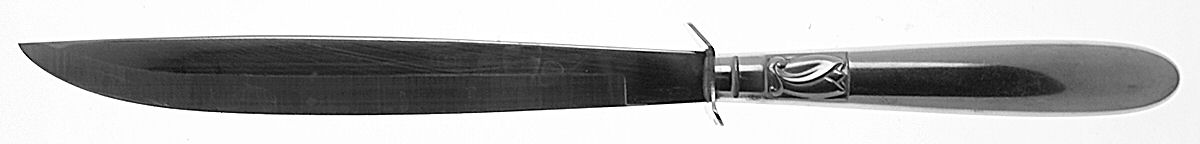 Creation I (Stainless) Small Steak Carving Knife with Stainless Blade by International Silver-1