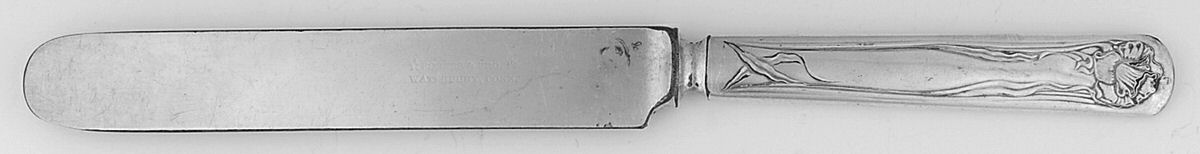 Daffodil (Silverplate, 1891) Blunt Solid Knife by International Silver-1