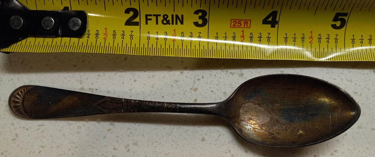 Daisy (Silverplate, 1886) Five O'Clock Teaspoon by International Silver-1