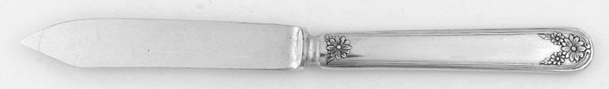 Daisy-New Daisy (Slvp, 1910, No Monogram) Individual Fruit Knife with Silverplate Blade by International Silver-1