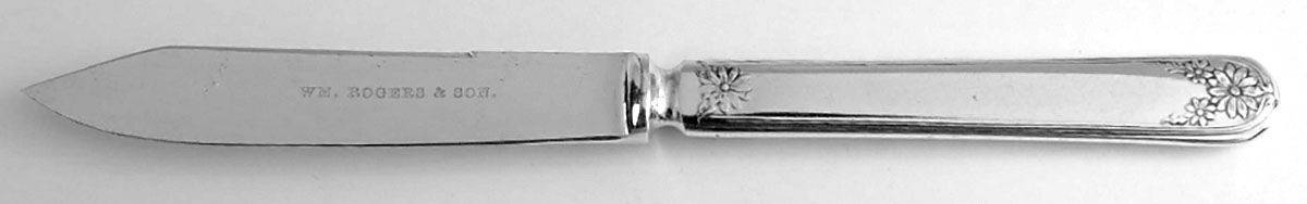 Daisy-New Daisy (Slvp, 1910, No Monogram) Individual Solid Fruit Knife by International Silver-1