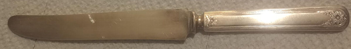 Daisy-New Daisy (Slvp, 1910, No Monogram) Modern Hollow Knife by International Silver-1