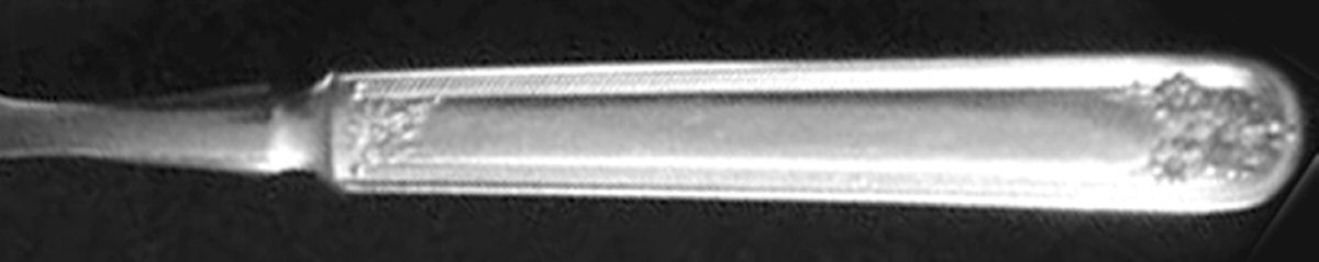 Daisy-New Daisy (Slvp, 1910, No Monogram) Indented Solid Handled Fork by International Silver-1