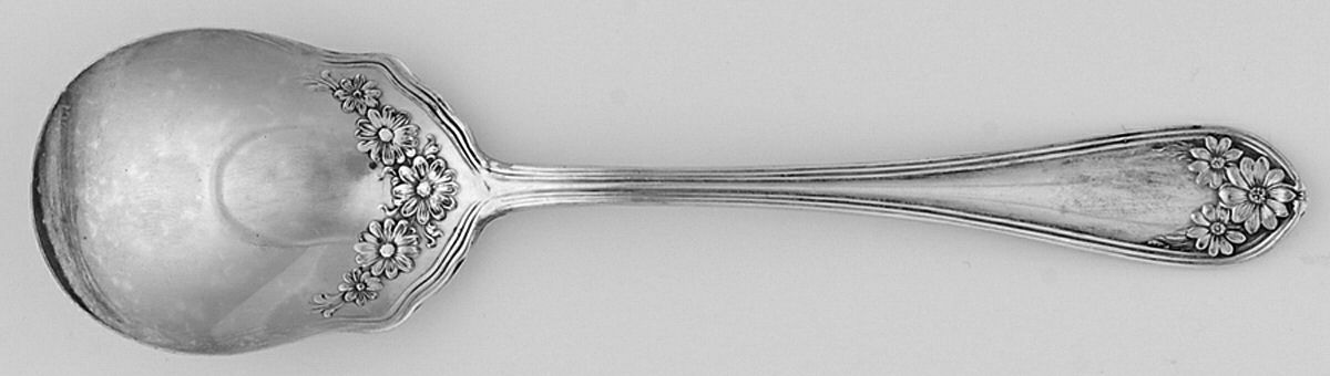 Daisy-New Daisy (Slvp, 1910, No Monogram) Sugar Spoon by International Silver-1