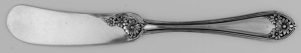 Daisy-New Daisy (Slvp, 1910, No Monogram) Flat Handle Butter Spreader by International Silver-1