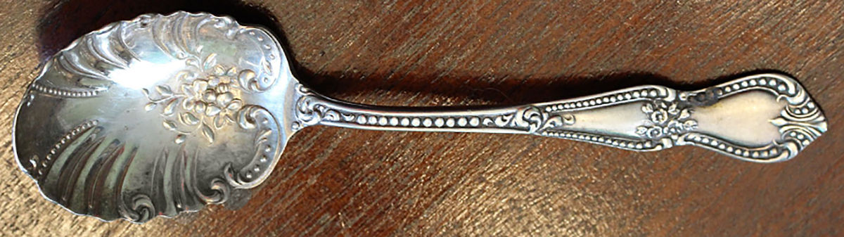 Dunraven (Silverplate) Sugar Shell Spoon by International Silver-1