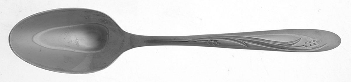 Elegance (Stainless) Teaspoon by International Silver-1
