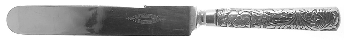 Embossed (Silverplate, 1882) Blunt Solid Knife by International Silver-1