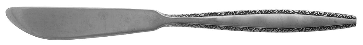 Fascination (Stainless, Decorator) Flat Handle Butter Spreader by International Silver-1