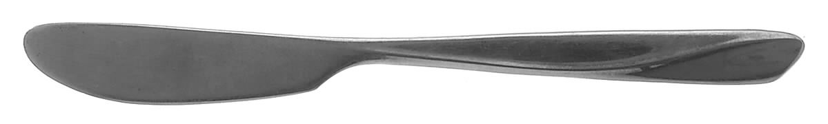 Finlandia (Stainless) Flat Handle Butter Spreader by International Silver-1