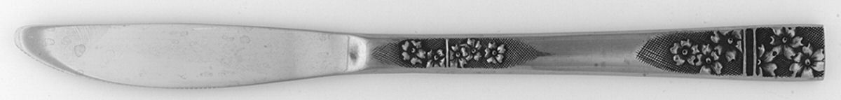 Floral Elegance (Stainless) Modern Solid Knife by International Silver-1