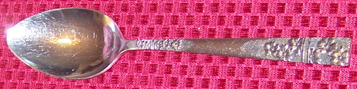 Floral Elegance (Stainless) Teaspoon by International Silver-1