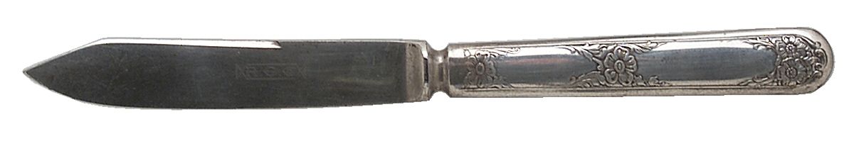 Flower (Silverplate, 1906) Individual Solid Fruit Knife by International Silver-1