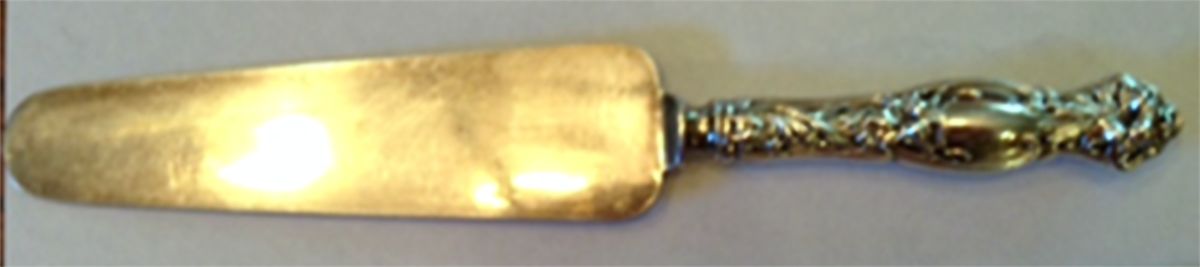 Frontenac (Sterling, 1903) Cake Knife with Silverplate Blade by International Silver-1