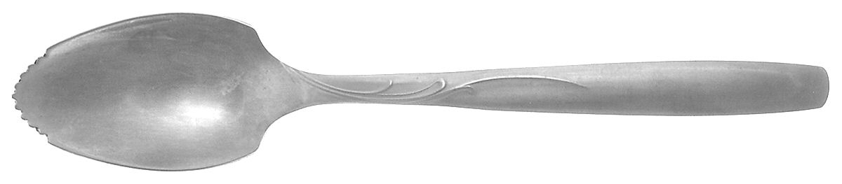 Garden Manor (Stainless) Fruit/Orange Spoon by International Silver-1