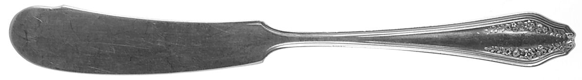 Garland (Silverplate, 1914) Flat Handle Butter Spreader by International Silver-1