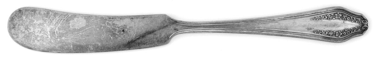 Garland (Silverplate, 1914) Flat Handle Butter Spreader by International Silver-1