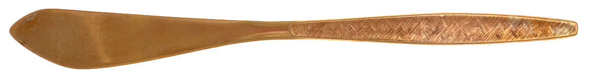 Golden Carino (Gold Electroplate) Flat Handle Butter Spreader by International Silver-1
