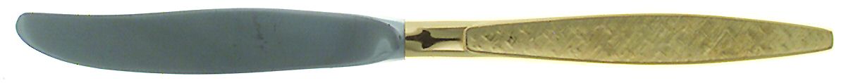 Golden Carino (Gold Electroplate) Modern Hollow Knife by International Silver-1
