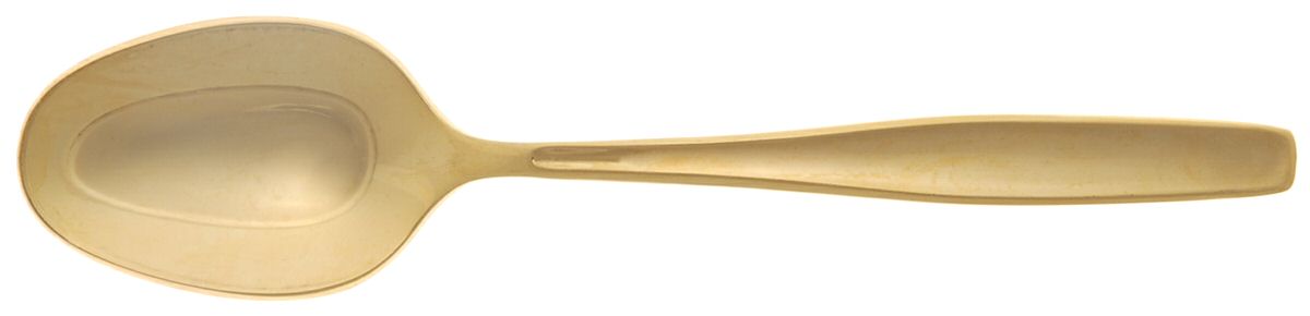 Golden Modern Living (Gold Electroplate) Teaspoon by International Silver-1