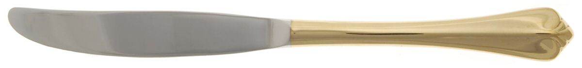 Golden Park Hill (Gold Electroplate, 1985) Modern Hollow Knife by International Silver-1