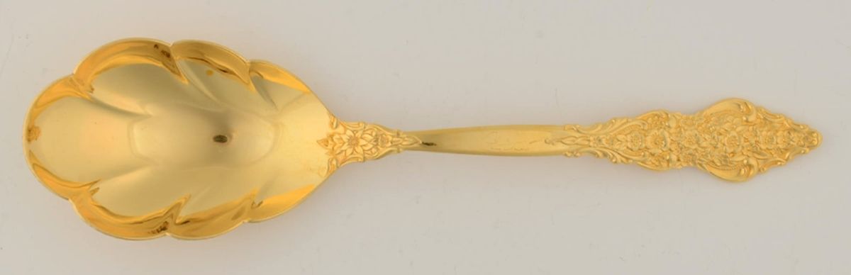 Golden Renaissance (Gold Electroplate) Solid Shell Casserole Spoon by International Silver-1