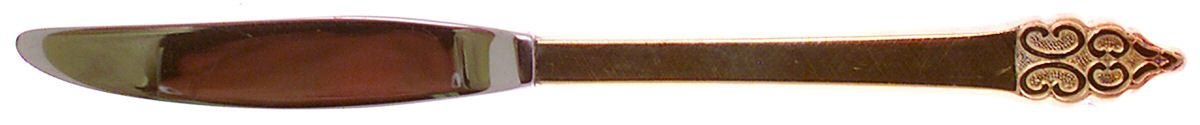 Golden Triumph (Goldeltroplt, 1968) Modern Hollow Knife by International Silver-1