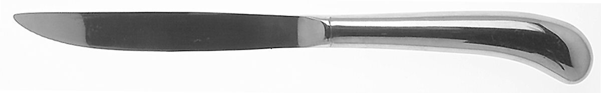 Gran Royal (Stainless) Individual Steak Knife Hollow Handle by International Silver-1