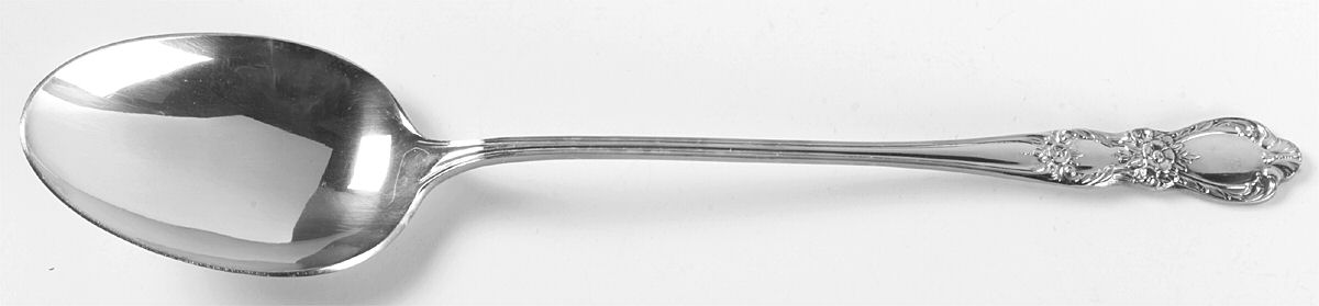 Heritage (Silverplate, 1953) Large Solid Dressing Spoon by International Silver-1