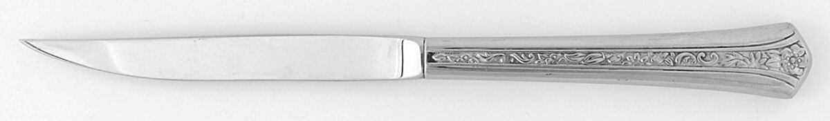 INS104 (STAINLESS) Individual Steak Knife Hollow Handle by International Silver-1