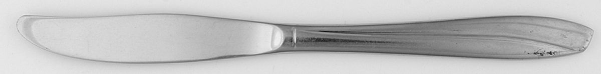 INS166 (STAINLESS) Modern Solid Knife by International Silver-1