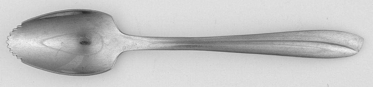 INS166 (STAINLESS) Fruit/Orange Spoon by International Silver-1