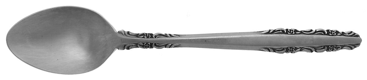 INS193 (STAINLESS) Teaspoon by International Silver-1