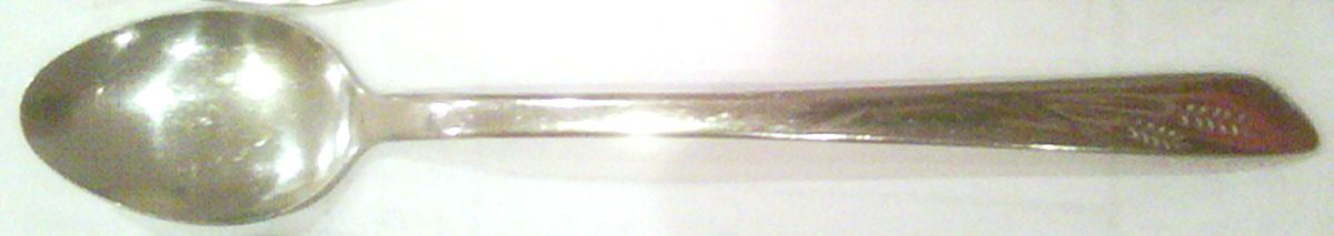 INS209 (STAINLESS) Iced Tea Spoon by International Silver-1