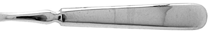 Plain Round (SILVERPLATE) Fork by International Silver-1