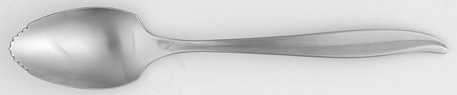 INS4 (STAINLESS) Fruit/Orange Spoon by International Silver-1