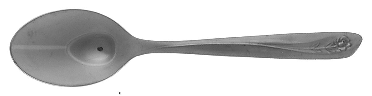 INS55 (STAINLESS) Teaspoon by International Silver-1