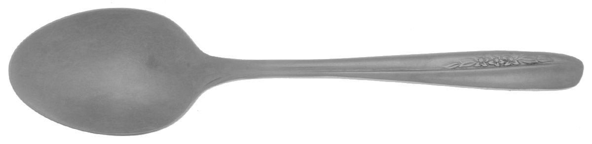 INS74 (STAINLESS) Teaspoon by International Silver-1