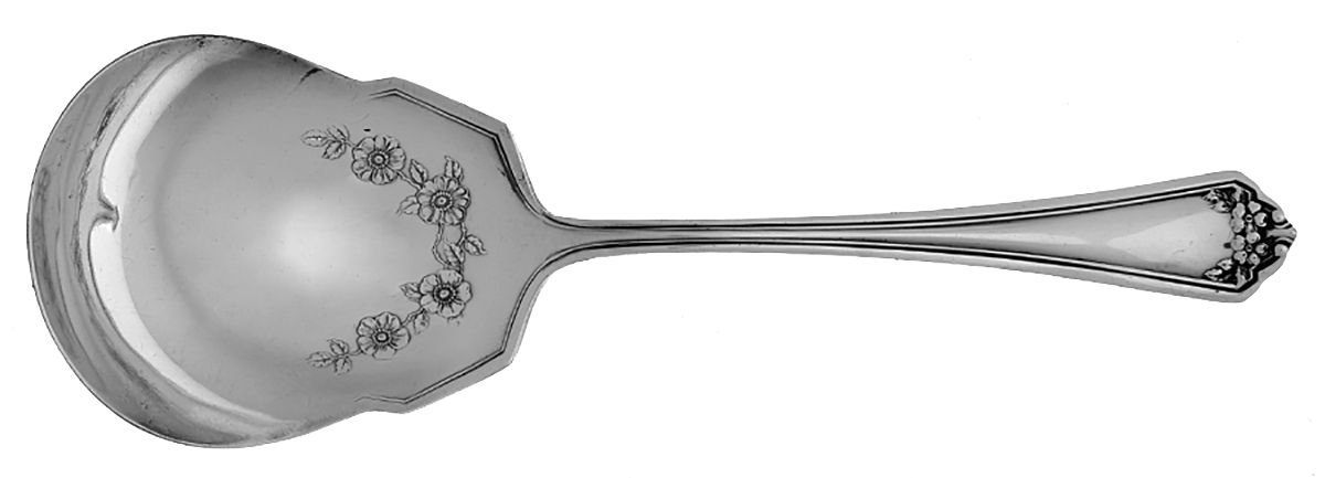 Kensington (Silverplate, 1912) Solid Smooth Casserole Spoon by International Silver-1