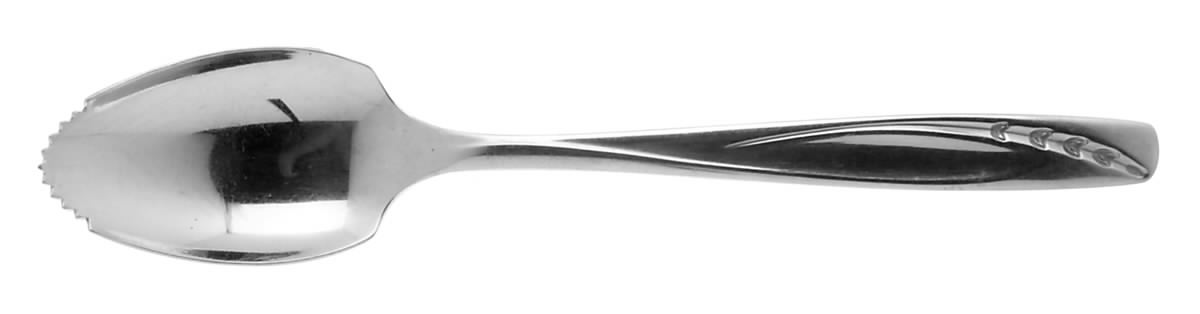 Lawncrest (Stainless) Fruit/Orange Spoon by International Silver-1