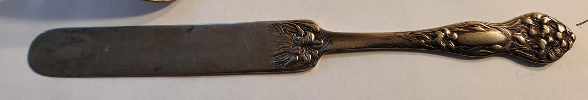 Lilyta (Silverplate, 1909, No Monograms) Hollow Handle Youth Knife by International Silver-1