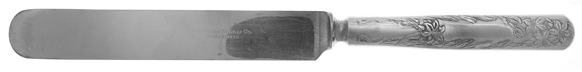 Lilyta (Silverplate, 1909, No Monograms) Blunt Solid Knife by International Silver-1